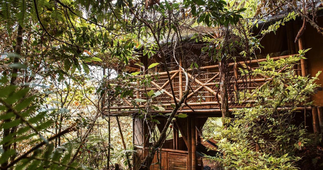 Hotel Guatape Adrianas Bambu Eksteriør billede