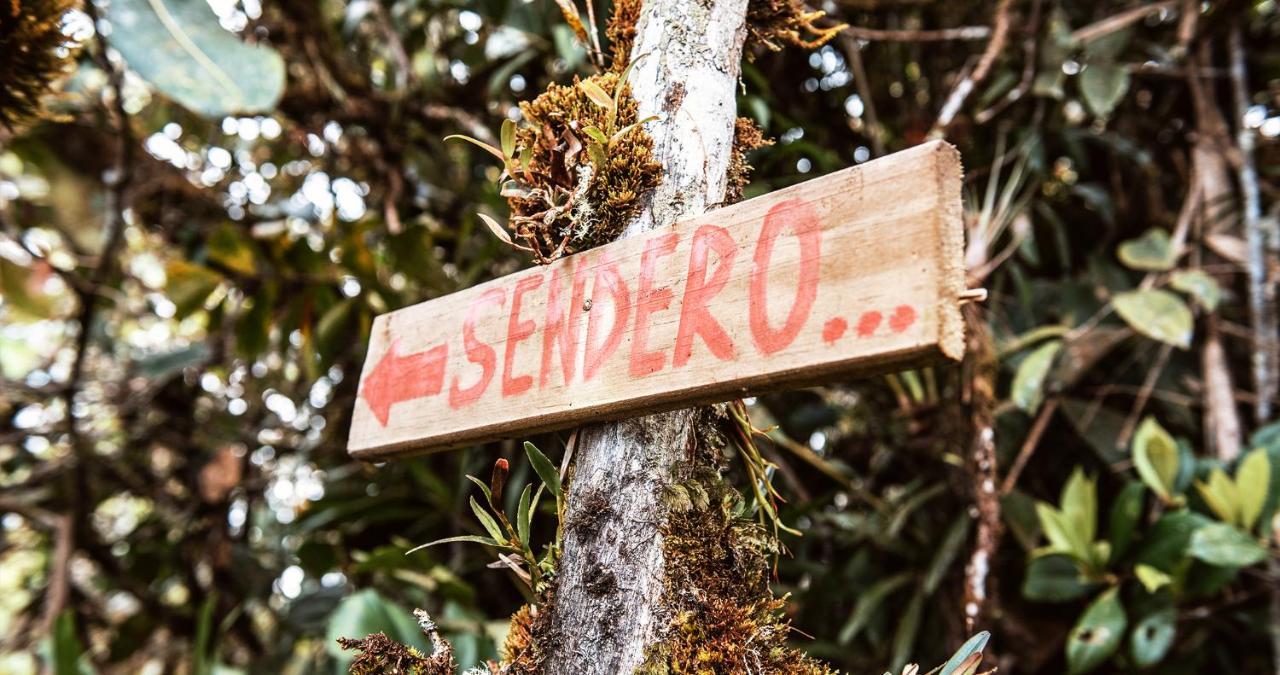 Hotel Guatape Adrianas Bambu Eksteriør billede