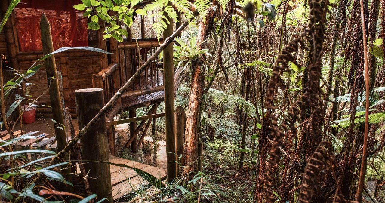 Hotel Guatape Adrianas Bambu Eksteriør billede