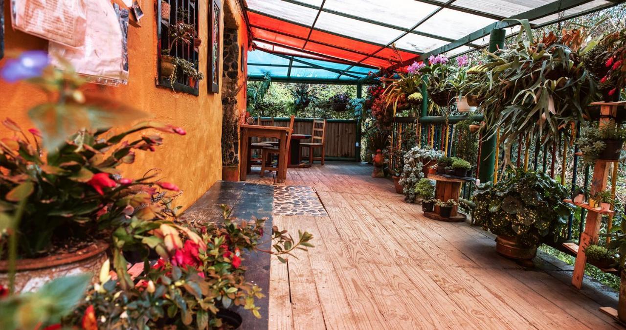 Hotel Guatape Adrianas Bambu Eksteriør billede