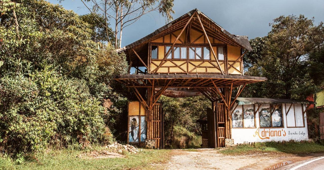 Hotel Guatape Adrianas Bambu Eksteriør billede