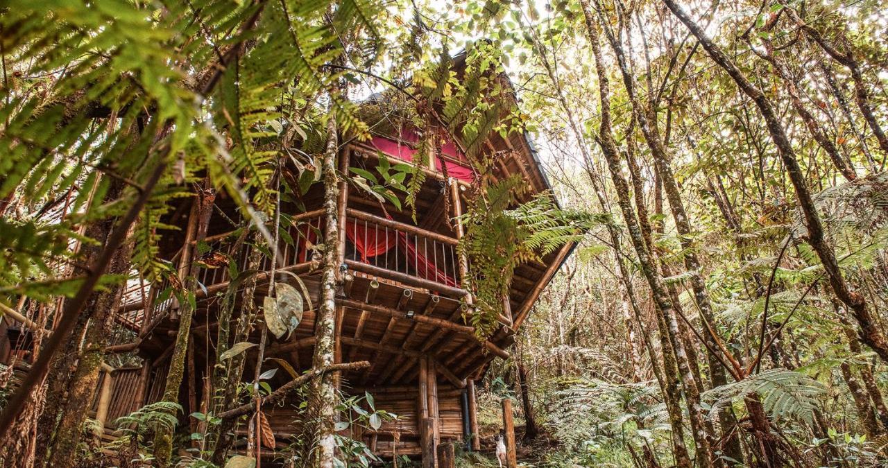 Hotel Guatape Adrianas Bambu Eksteriør billede