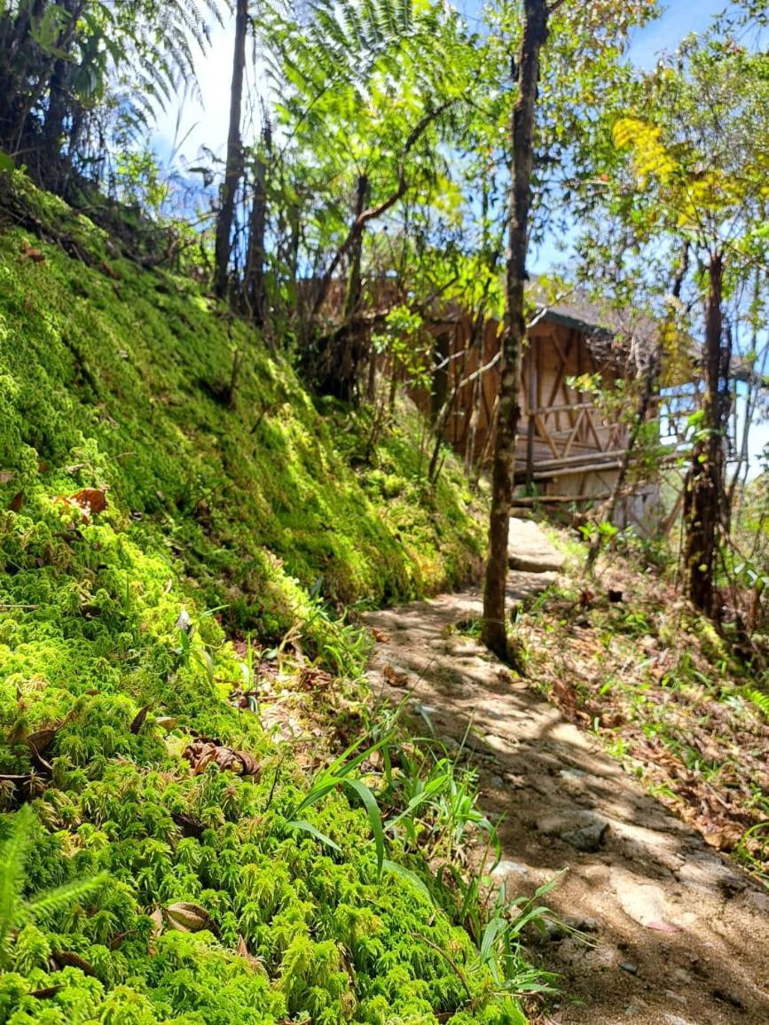 Hotel Guatape Adrianas Bambu Eksteriør billede
