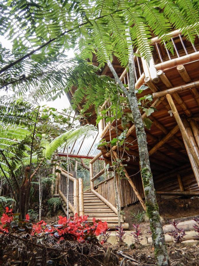 Hotel Guatape Adrianas Bambu Eksteriør billede