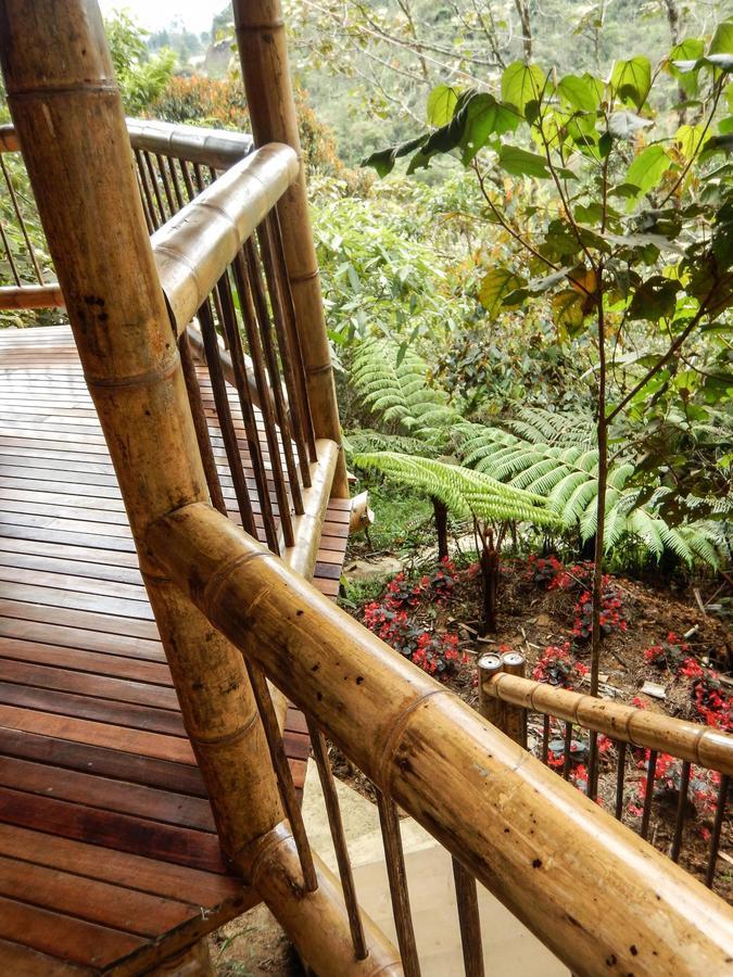 Hotel Guatape Adrianas Bambu Eksteriør billede