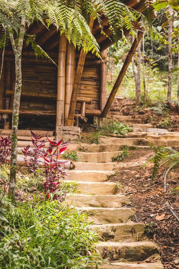 Hotel Guatape Adrianas Bambu Eksteriør billede