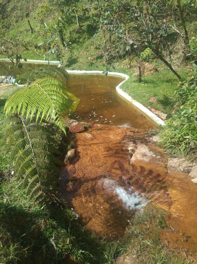 Hotel Guatape Adrianas Bambu Eksteriør billede